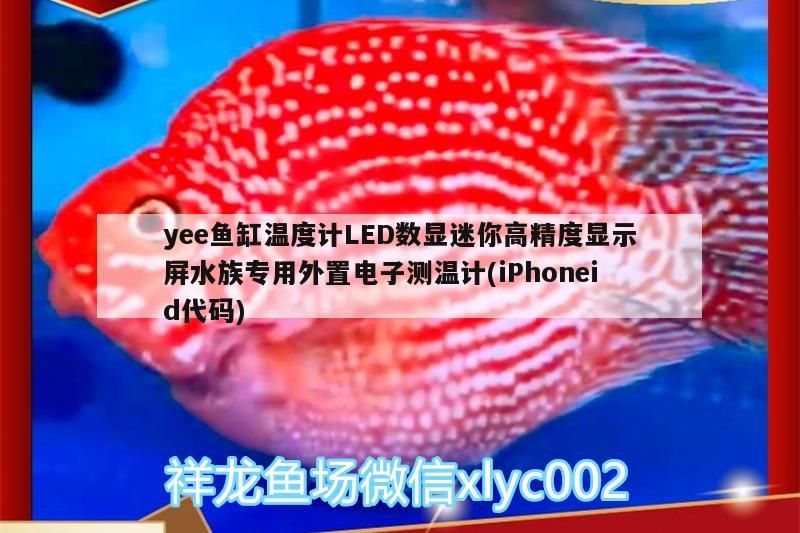 yee魚缸溫度計LED數顯迷你高精度顯示屏水族專用外置電子測溫計(iPhoneid代碼)