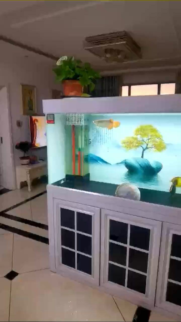 四平水族館天王紅龍(萬隆實業控股)