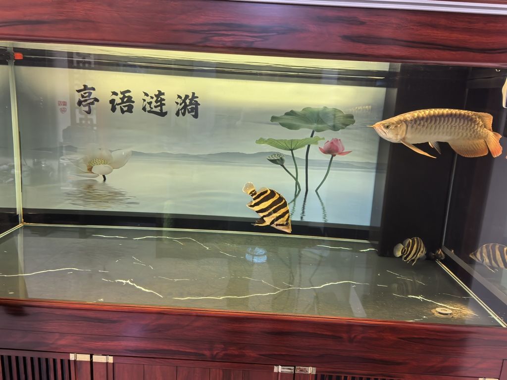 檢疫留檔