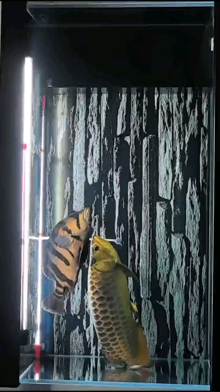 春天來了