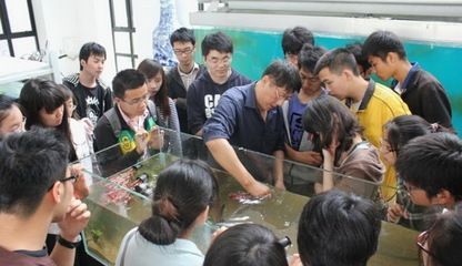 觀賞魚培訓學校（觀賞魚養殖培訓學校招生簡章）