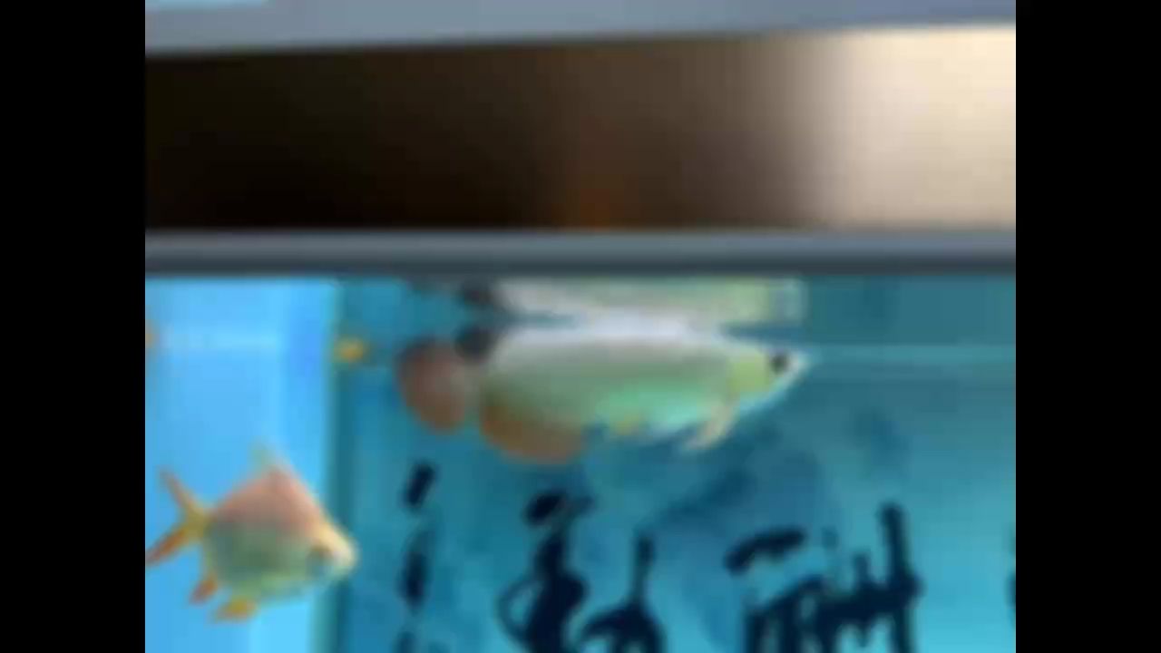 多掙錢吧