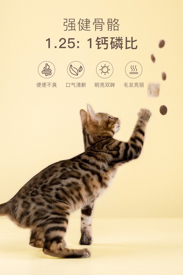 yee貓糧幼貓專用增肥發腮營養天然糧3斤英短藍貓凍干15KG包郵 yee貓糧幼貓專用增肥發腮營養天然糧3斤英短藍貓凍干15KG包郵 yee 第19張