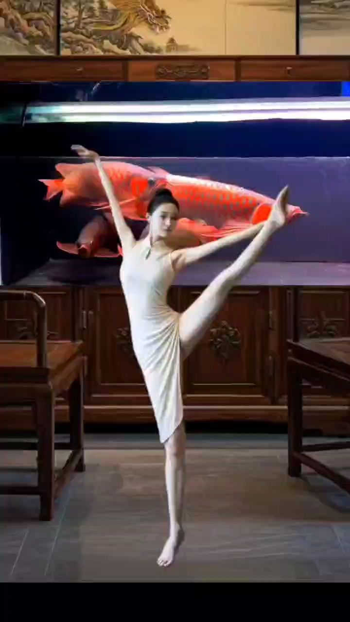 龍魚西施