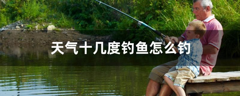 天氣十幾度釣魚怎么釣
