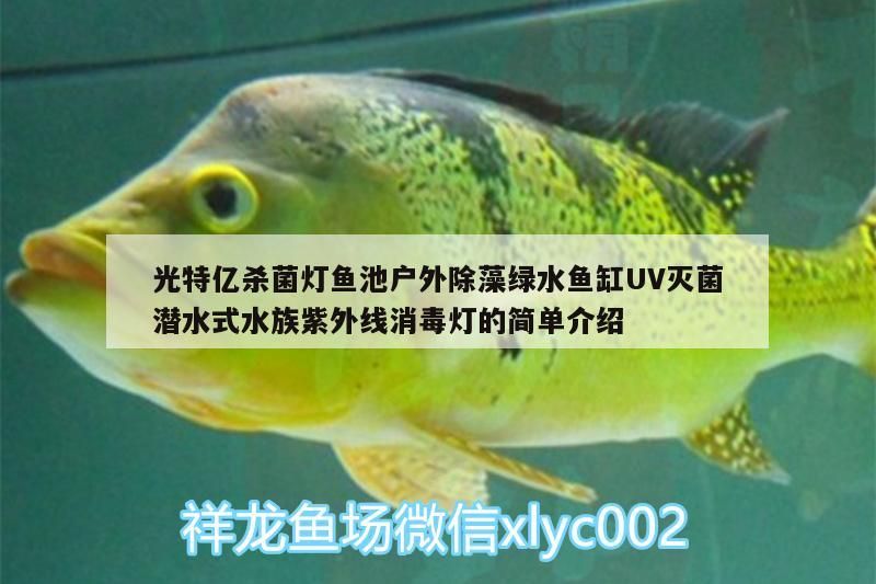 光特億殺菌燈魚池戶外除藻綠水魚缸UV滅菌潛水式水族紫外線消毒燈的簡單介紹