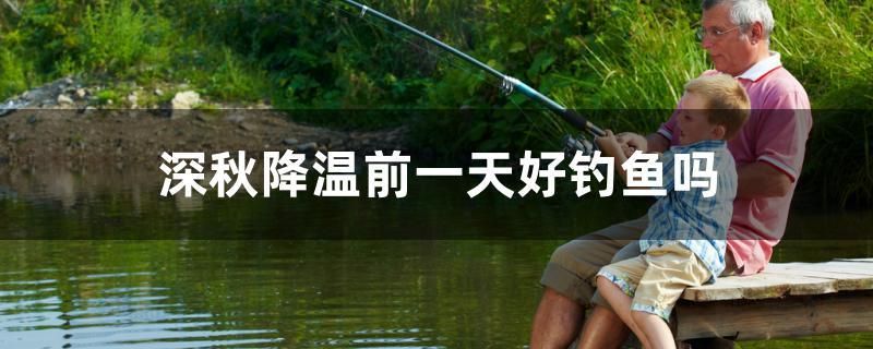深秋降溫前一天好釣魚嗎 深秋降溫前一天好釣魚嗎 錦鯉魚百科