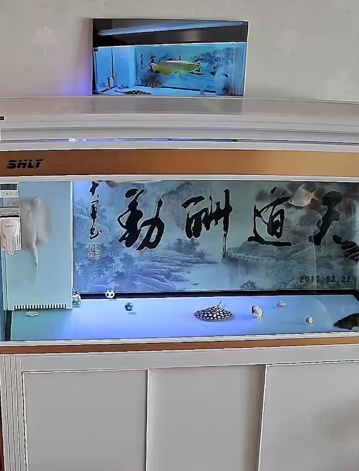 開心到起飛