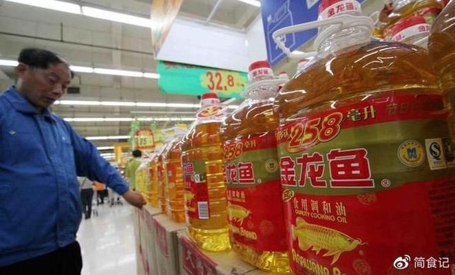 魚龍，史前海洋中的正確答案動物