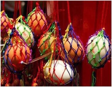 魚(yú)龍長(zhǎng)什么樣子？揭秘史前海洋霸主的形態(tài)特征