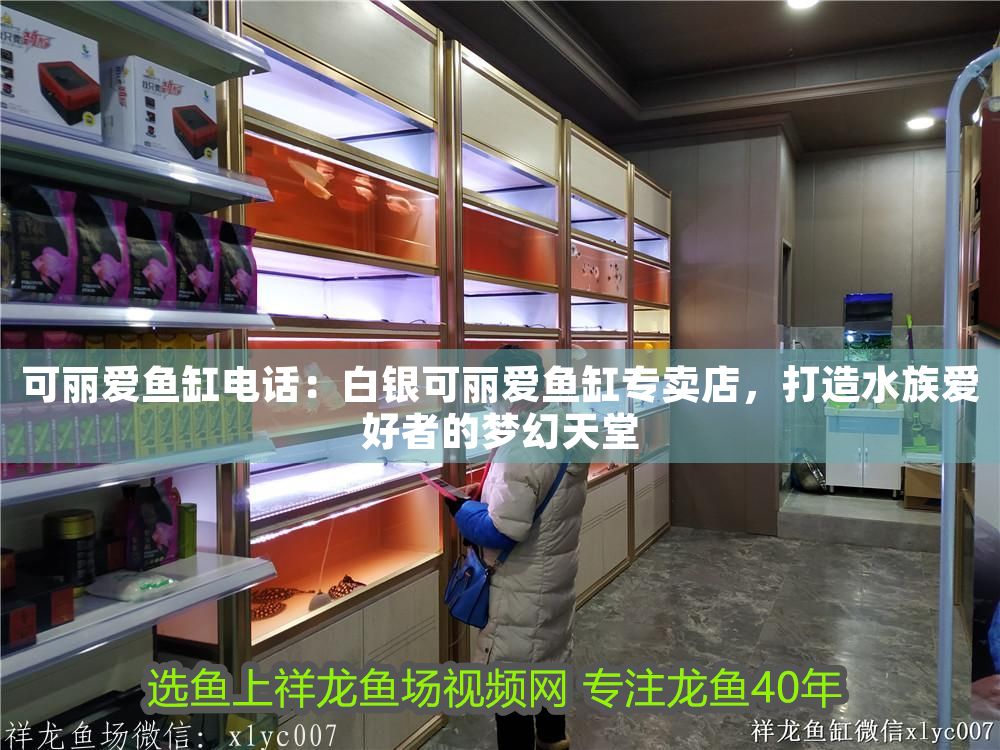 可麗愛魚缸電話：白銀可麗愛魚缸專賣店，打造水族愛好者的夢幻天堂