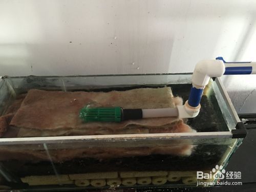 老魚匠龍魚燈怎么樣（老魚匠的燈怎么樣）