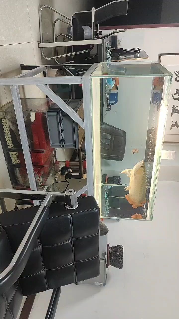 自制無管道魚缸