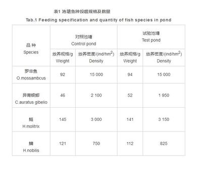魚(yú)龍，跨越文化的多重象征意義