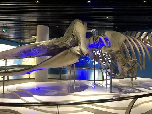 水族館要門票嗎現(xiàn)在多少錢(上海海洋水族館門票價格) 水族館百科(水族館加盟) 第4張 水族館要門票嗎現(xiàn)在多少錢(上海海洋水族館門票價格) 水族館要門票嗎現(xiàn)在多少錢(上海海洋水族館門票價格) 水族館百科(水族館加盟) 第4張