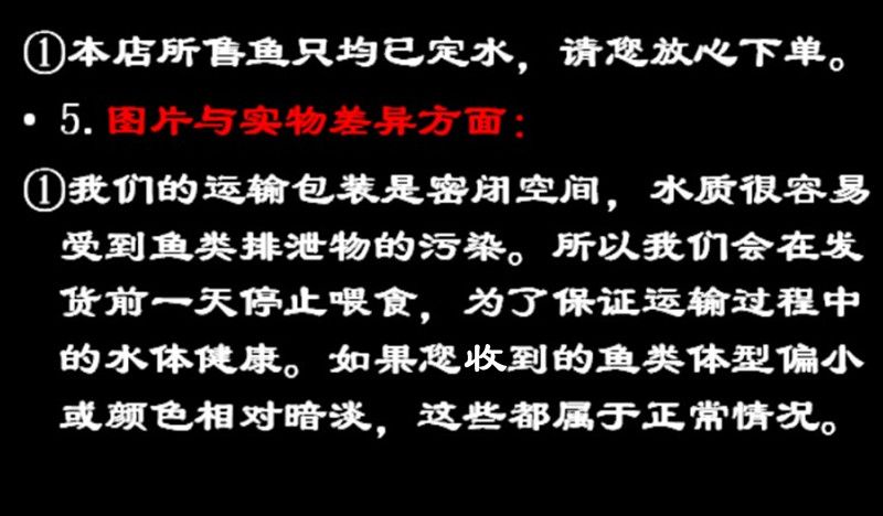 魚龍未變之象，是懷孕的隱喻，還是命運的啟示？