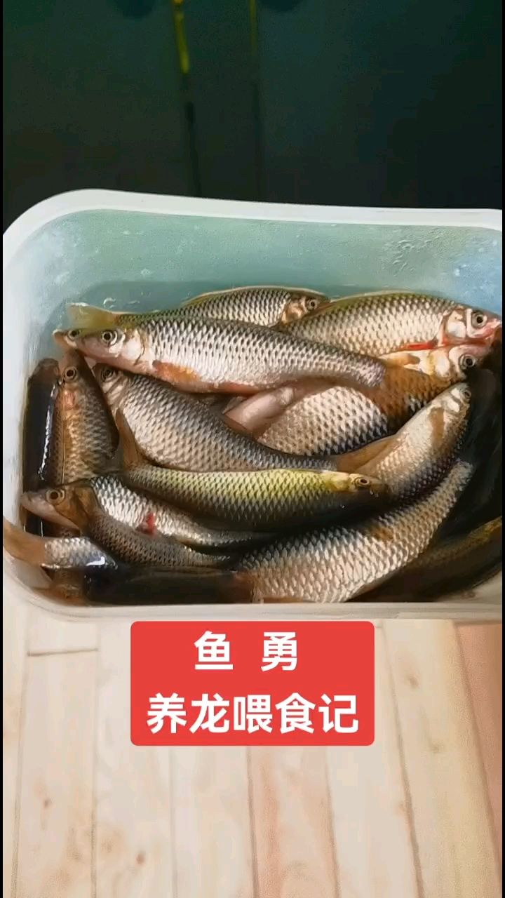 應該刷缸了