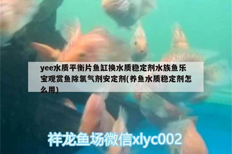 yee水質平衡片魚缸換水質穩定劑水族魚樂寶觀賞魚除氯氣劑安定劑(養魚水質穩定劑怎么用) yee水質平衡片魚缸換水質穩定劑水族魚樂寶觀賞魚除氯氣劑安定劑(養魚水質穩定劑怎么用) yee