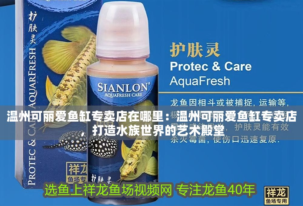 溫州可麗愛魚缸專賣店在哪里：溫州可麗愛魚缸專賣店，打造水族世界的藝術殿堂
