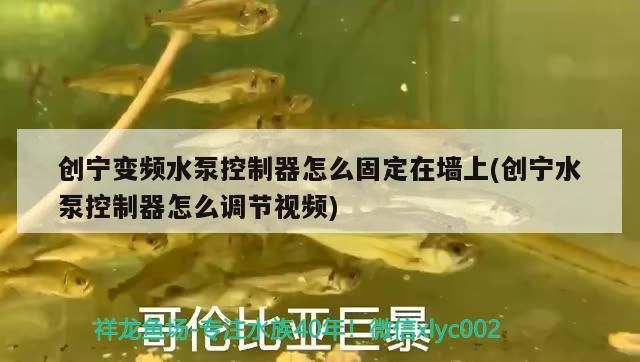 創寧變頻水泵控制器怎么固定在墻上(創寧水泵控制器怎么調節視頻)