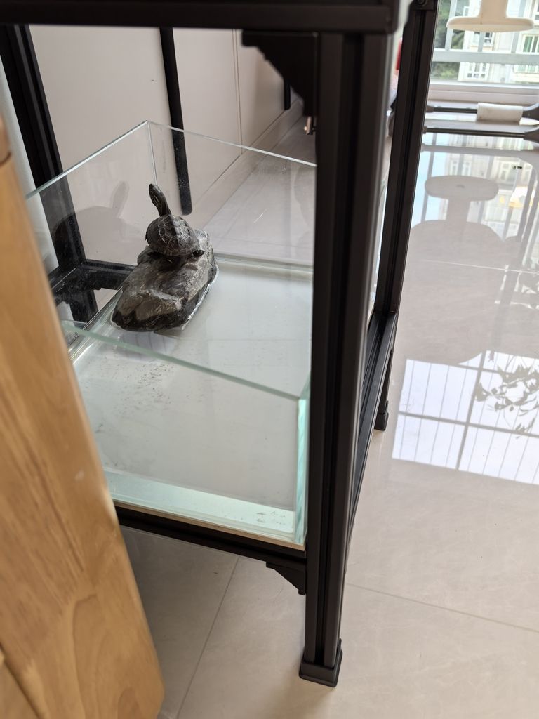 龜仙人