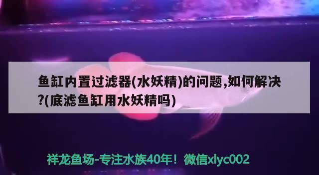 yee意品水族官網(wǎng)（下列風(fēng)險(xiǎn)中屬于房地產(chǎn)經(jīng)紀(jì)人道德風(fēng)險(xiǎn)的有）