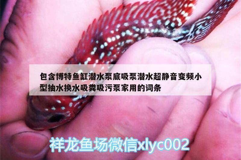 包含博特魚缸潛水泵底吸泵潛水超靜音變頻小型抽水換水吸糞吸污泵家用的詞條