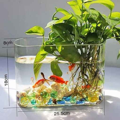底濾魚缸上水口咕嚕咕嚕響（底濾魚缸上水口咕嚕咕嚕響怎么辦）