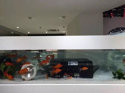 一方魚(yú)缸電池：一方魚(yú)缸電池的解決方案