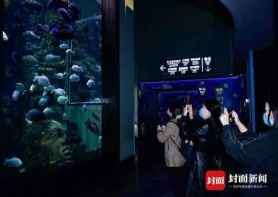 全國水族館排行2020年：2020年中國全國水族館排行