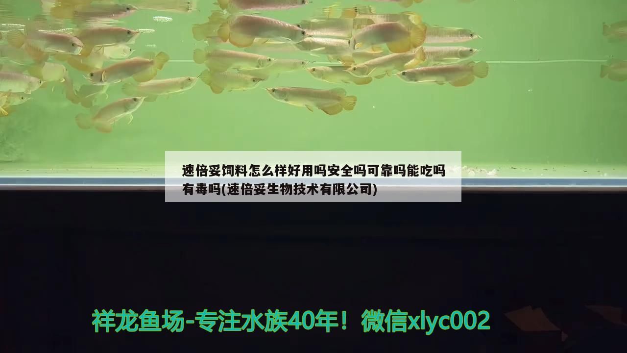 速倍妥飼料怎么樣好用嗎安全嗎可靠嗎能吃嗎有毒嗎(速倍妥生物技術有限公司)