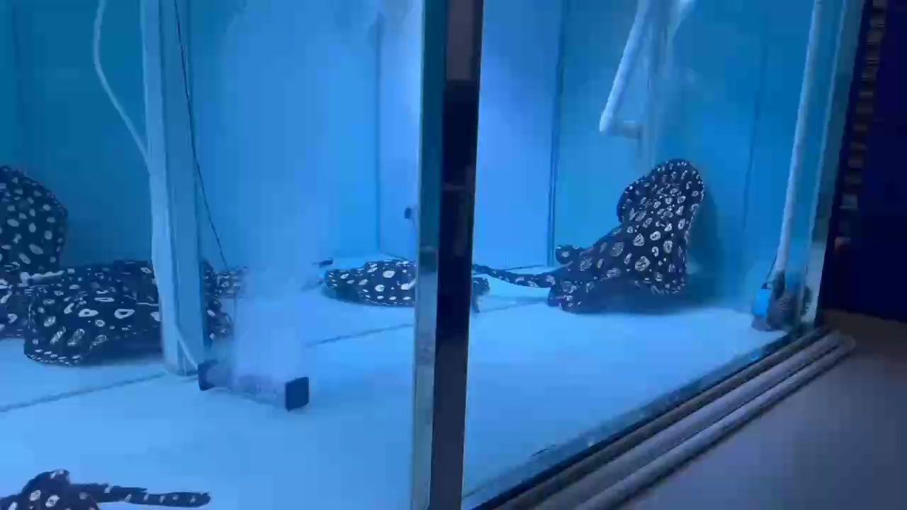 看一晚上還不生