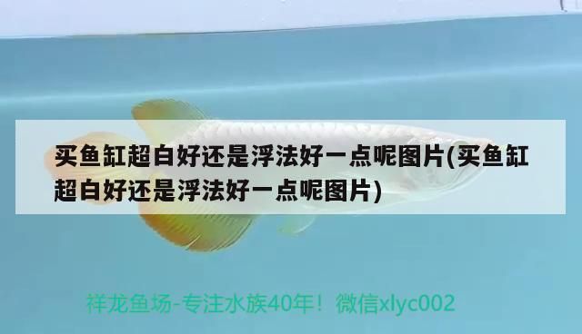 買魚缸超白好還是浮法好一點呢圖片(買魚缸超白好還是浮法好一點呢圖片)