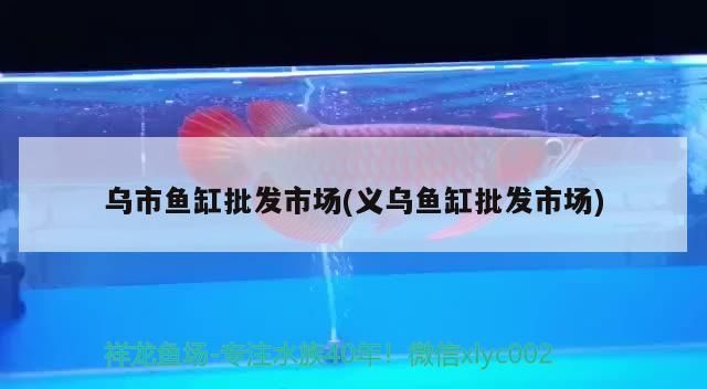 烏市魚缸批發市場(義烏魚缸批發市場) 烏市魚缸批發市場(義烏魚缸批發市場) 觀賞魚百科