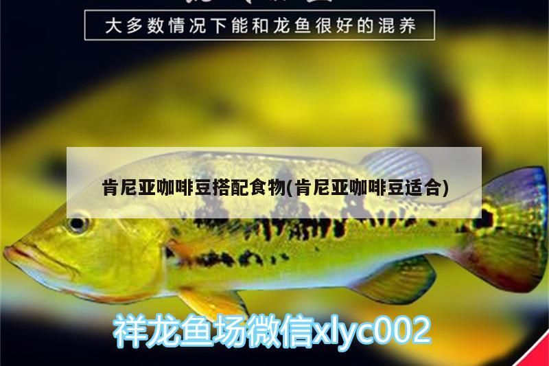 詳細閱讀:肯尼亞咖啡豆搭配食物(肯尼亞咖啡豆適合) 肯尼亞咖啡豆搭配食物(肯尼亞咖啡豆適合)