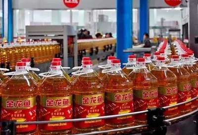 國家為什么不禁金龍魚：國家不禁金龍魚的原因 國家為什么不禁金龍魚：國家不禁金龍魚的原因 金龍魚百科 第5張