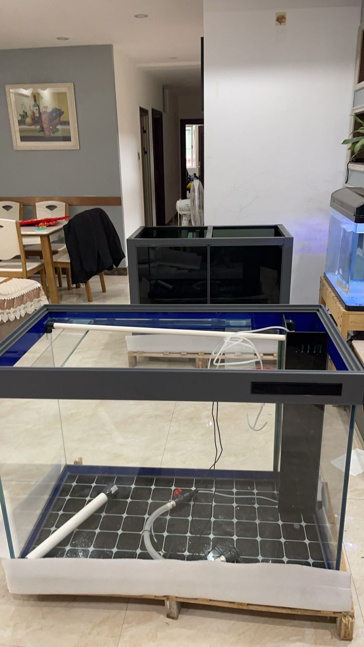 新缸入新魚