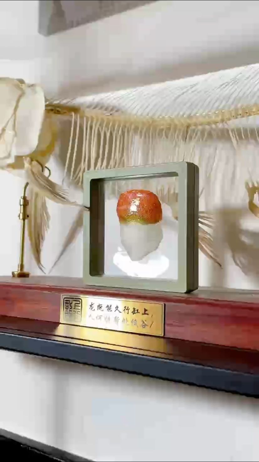 全是養魚人的一眼好心情！