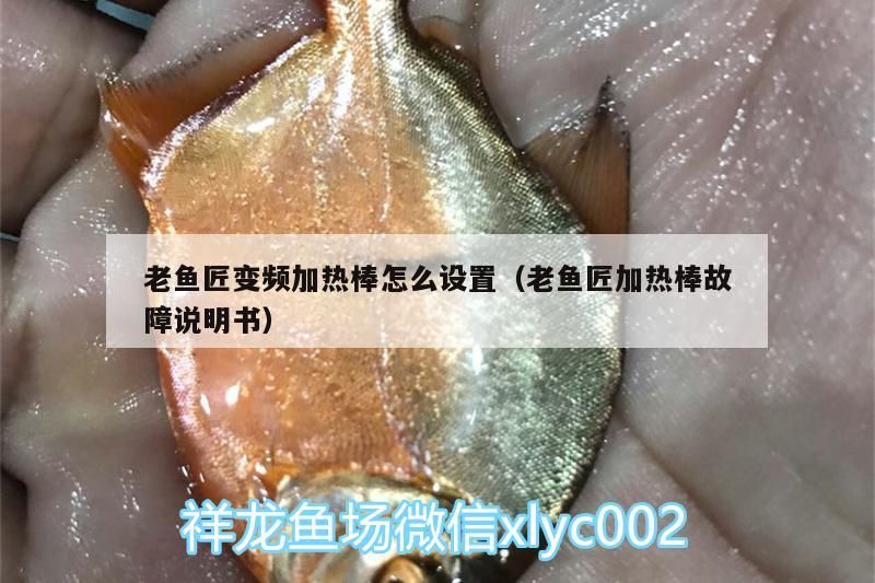 老魚(yú)匠變頻加熱棒怎么設(shè)置（老魚(yú)匠加熱棒故障說(shuō)明書(shū)）