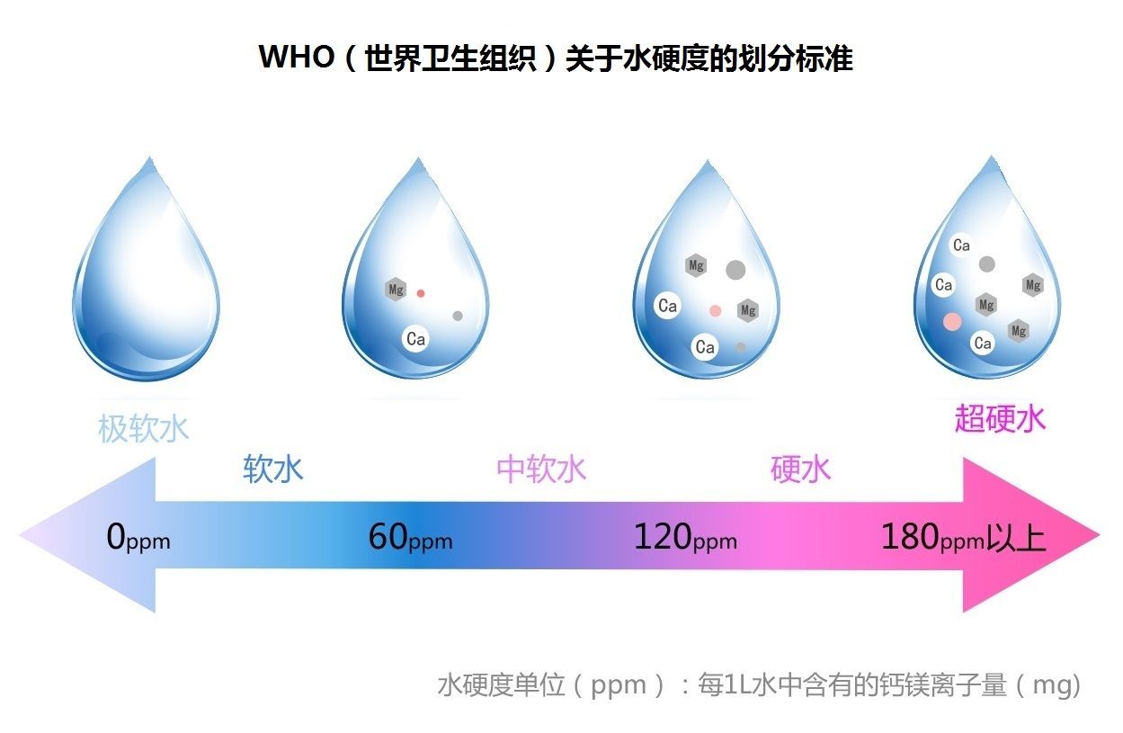 贊美龍魚的詩詞歌賦的句子有哪些：龍韻悠長，贊龍魚之靈秀與神韻