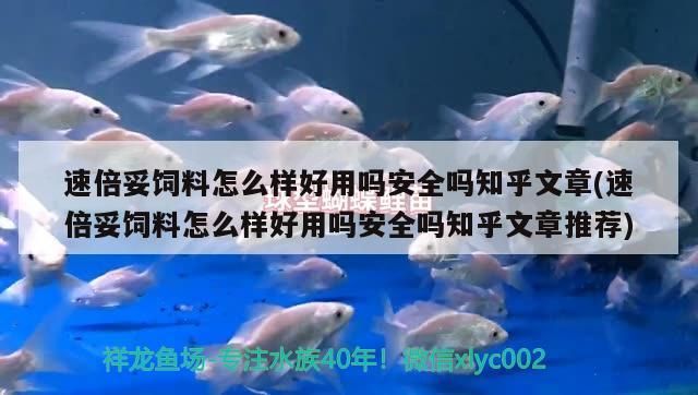 速倍妥飼料怎么樣好用嗎安全嗎知乎文章(速倍妥飼料怎么樣好用嗎安全嗎知乎文章推薦) 速倍妥飼料怎么樣好用嗎安全嗎知乎文章(速倍妥飼料怎么樣好用嗎安全嗎知乎文章推薦) 速倍妥