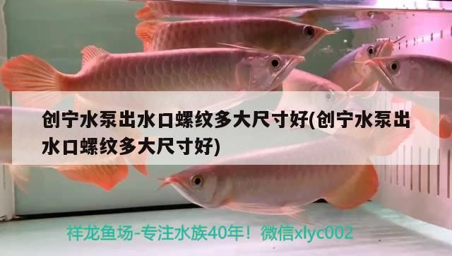 創(chuàng)寧水泵出水口螺紋多大尺寸好(創(chuàng)寧水泵出水口螺紋多大尺寸好)