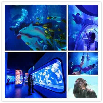 水族館好玩嗎值得去嗎：上海水族館親子游最佳季節選擇達拉斯水族館親子游體驗