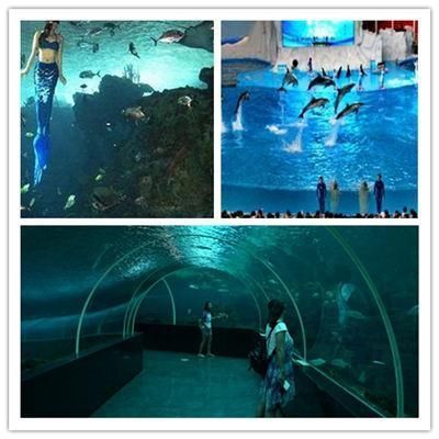 水族館好玩嗎值得去嗎：上海水族館親子游最佳季節選擇達拉斯水族館親子游體驗
