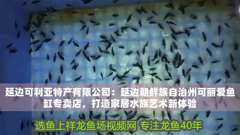 延邊可利亞特產有限公司：延邊朝鮮族自治州可麗愛魚缸專賣店，打造家居水族藝術新體驗