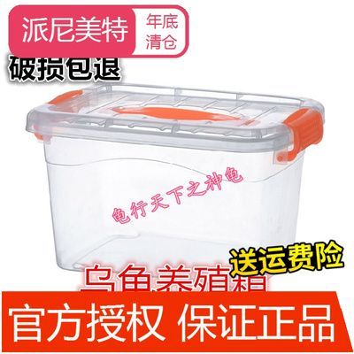 黑魚怎么養(yǎng)魚缸里（養(yǎng)殖黑魚需要注意以下幾個方面） 黑魚怎么養(yǎng)魚缸里（養(yǎng)殖黑魚需要注意以下幾個方面） 貝因美 第2張
