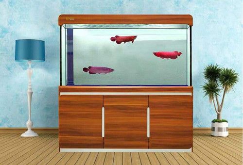 武吉美拉官網查詢（武吉美拉app）