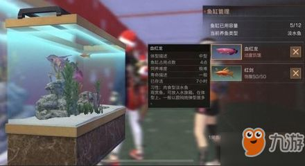 明日之后如何釣錦鯉和血紅龍魚:明日之后釣錦鯉和血紅龍魚攻略,秋日森林釣魚點位推薦