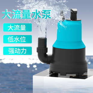 紅尾魚有什么營養價值與功效(龍尾魚的營養價值及功效)