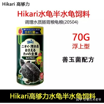 在家里養龍魚風水怎么樣呢：家中養龍魚，風水妙處多